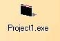 Project1.exe
